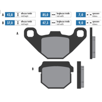 Plaquettes de frein Peugeot scooter Pour Race Polini - bio